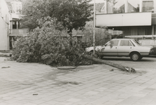 862541 Afbeelding van een omgewaaide jonge boom bij het parkeerterrein achter een kantorengebouw aan de St. ...
